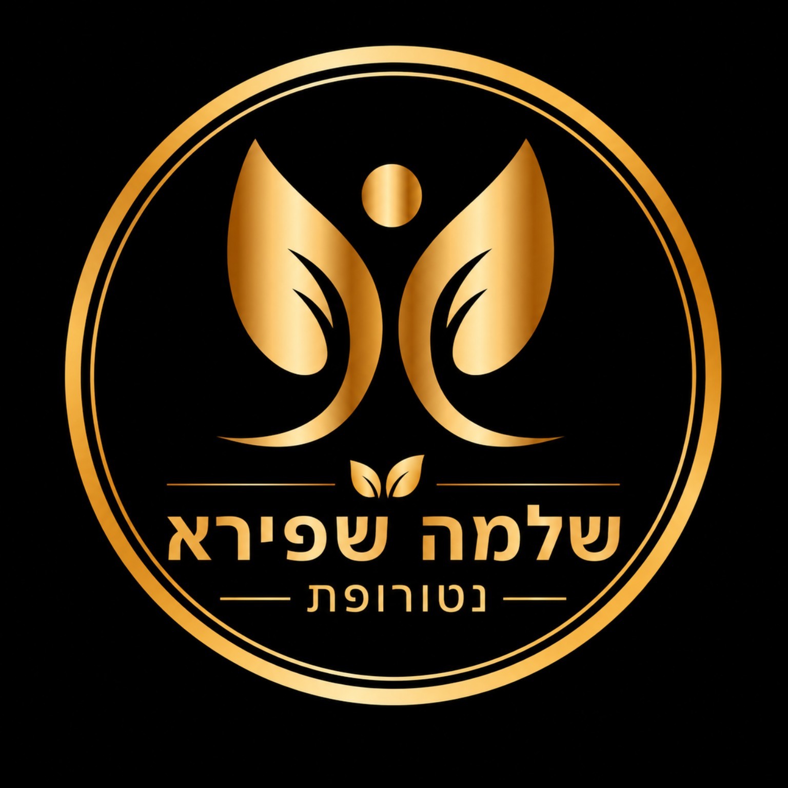 הלוגו של שלומי שפירא